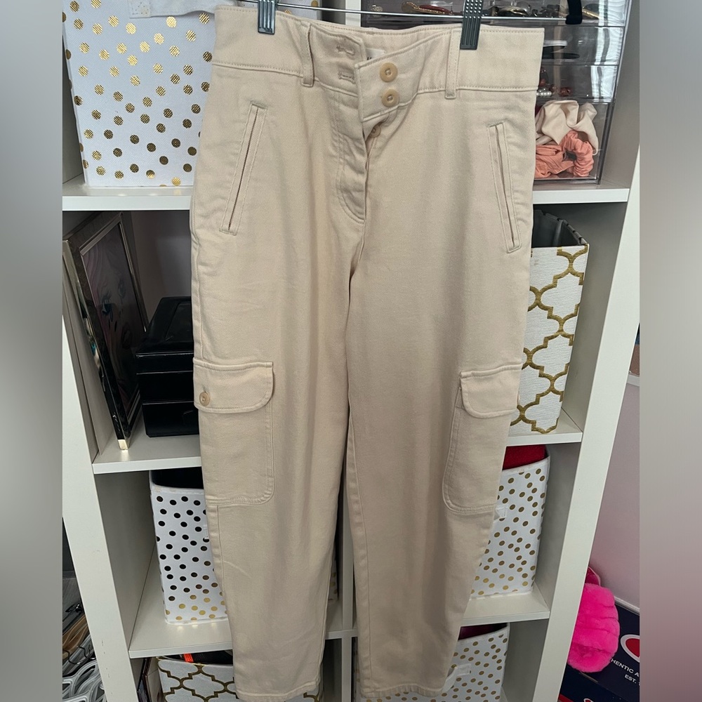 Aritzia cargo pants
